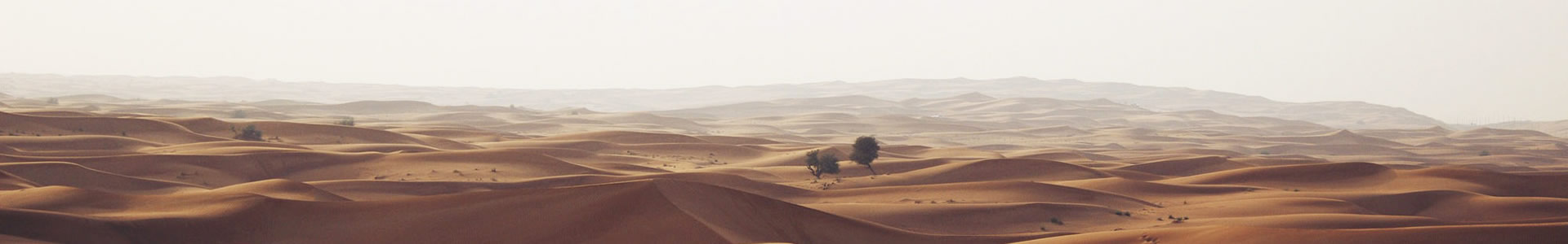 Ϻɽó޹˾
